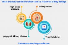 Ayurvedic Kidney Treatment