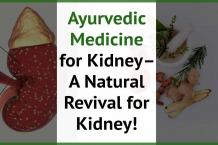 Ayurvedic Medicine for Kidney Damage