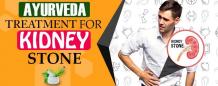 Ayurvedic Treatment for Kidney Stone