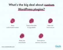 What is the big deal about Custom WordPress Plugins
