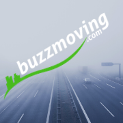 BuzzMoving