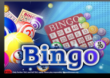 World by getting connected with best online bingo games