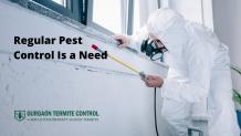 Why Regular Pest Control Is a Need