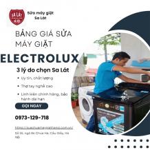 Bảng giá sửa máy giặt Electrolux mới nhất từ Sa Lát