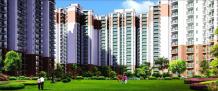 Nirala Greenshire Price List | 8744-077-088 | Nirala Greenshire Payment Plan