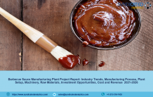 Barbecue Sauce Project Report 2021: Plant Setup, Manufacturing Process, Business Plan, Industry Trends, Machinery Requirements, Raw Materials, Cost and Revenue 2026 &#8211; Domestic Violence