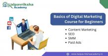 Basics of Digital Marketing Course for Beginners