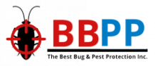 Pest Control Brampton - Pest Control and Exterminator Services Brampton
