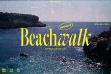 Beachwalk Font Free Download Similar | FreeFontify