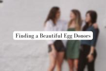 Beautiful Egg Donors