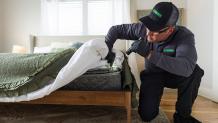 How Does Terminix Get Rid Of Bed Bugs?