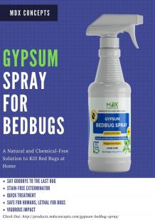 Bed Bugs Killer Spray