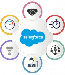   	Salesforce CRM Development Services | Greytrix  