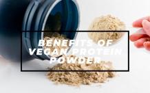 Benefits Of Vegan Protein Powder And How To Use It