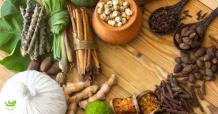 How to find the best Ayurveda in Toronto treatment? &#8211; Herbal Indians Blogs