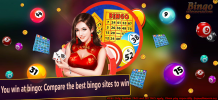 You win at bingo: Compare the best bingo sites to win &#8211; Delicious Slots