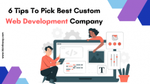 6 Tips To Pick Best Custom Web Development Company