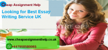 Best Essay Writing Services (January 2021) | Best UK top writers 24*7