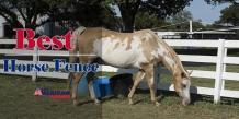 Horse fence spacing