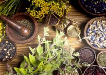 Discover the Best Indian Herbs - Biocarve Seeds