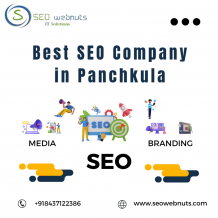 Best SEO Company in Panchkula | Website Promotion Company