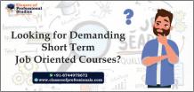 Best Job Oriented Course After 12th Classes of Professionals Studies