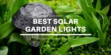 What Everyone Must Know About Solar Garden Lights 