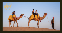 Camel Safari Adventures in Jodhpur