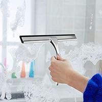 Shower Squeegee Buying Guide