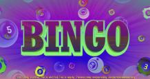 Online Bingo Sites; Most Important Things to Know About New Bingo Sites UK