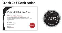 Lean Six Sigma Black Belt