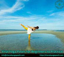 Vital Yoga Poses for Beginners to Practice 