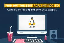 Everything You Need to Know About Linux Distros and Their Functionalities | Temok Hosting Blog