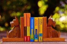 Top 10 Cool Bookends for Your Insulated Garden Office