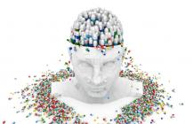 What are the Top 5 Brain Booster Supplements for Adults?