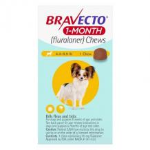 Bravecto 1-Month Chew : Buy Bravecto 1-Month Chew for Dog at Lowest Price - PetCareClub.com
