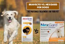 Bravecto vs. NexGard for Dogs: The preferred treatment for your pet - CanadaVetExpress - Pet Care Tips