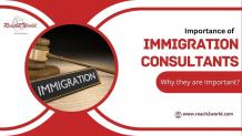 Importance of Immigration Consultants and Why they are Important!