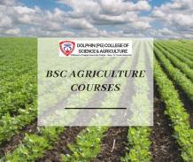BSC Agriculture Courses