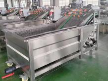 Commercial Fruit and Vegetable Washing Machine