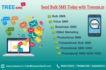 Bulk SMS Provider in Manipur