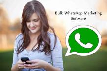 Bulk WhatsApp Marketing Software | Best WhatsApp Marketing Messenger