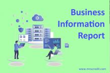 How to Interpret a Business Information Report: Key Metrics to Watch - 100% Free Guest Posting Website