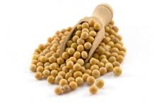 A Kilo of Spices: Buy Soya Beans Online UK to Cook and Eat in Different Ways
