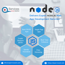Result Oriented Node JS Development Services