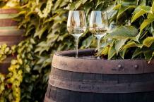   	California’s Unknown White Wine Grape Varieties That are Worth Trying -  Bottle Barn - Santa Rosa, CA  