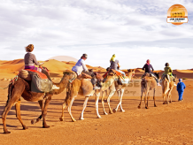 Camel Safari In Jaisalmer | Camel Safari Sam Sand Dunes | JCR