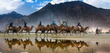 Camel Safari in Ladakh Trip with NatureWings