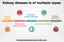 Kidney Disease Diagnosed By Blood Test