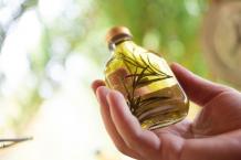 SOM Extracts | Top Carrier Oils Manufacturers & Suppliers in India